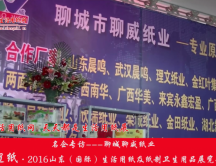 2016山東展會(huì)專訪聊城聊威紙業(yè)李總