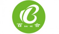 山東百合衛(wèi)生用品有限公司