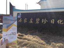遛紙小分隊(duì)在石家莊宣傳沈陽展會 (33)