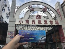 遛紙小分隊(duì)在沈陽宣傳沈陽展會 (60)