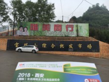 遛紙小分隊(duì)在陜西延安宣傳18年西安紙展會(huì) (5)