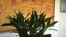 合肥憶居快捷賓館